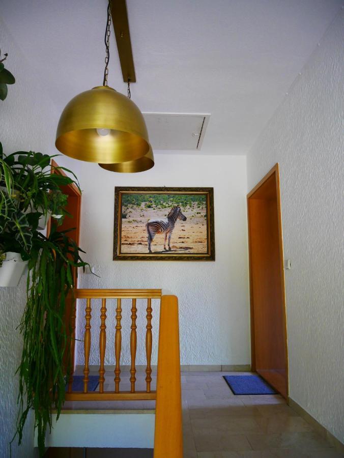 Ferienwohnung Eichkatzel Zell 外观 照片