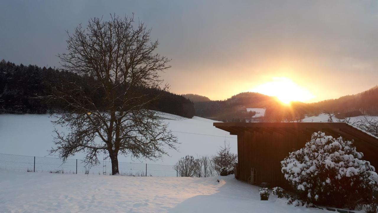 Ferienwohnung Eichkatzel Zell 外观 照片