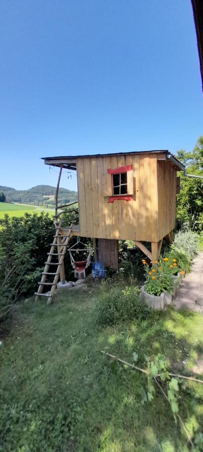Ferienwohnung Eichkatzel Zell 外观 照片